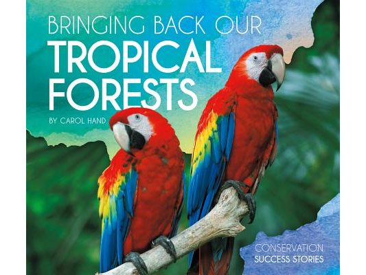 Bringing Back Our Tropical Forests