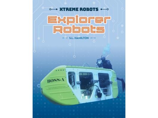 Explorer Robots