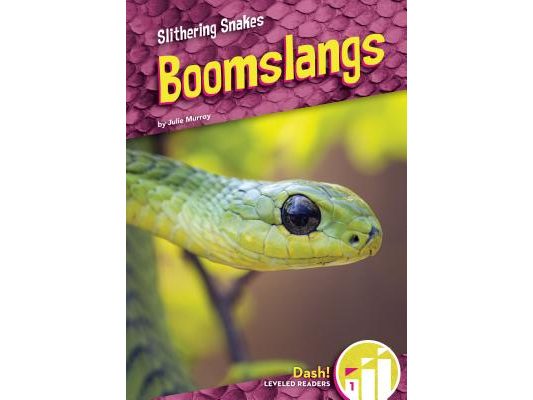 Boomslangs
