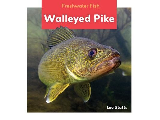 Walleyed Pike