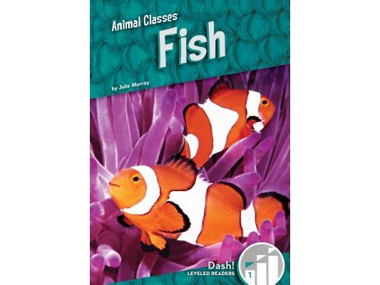 Fish