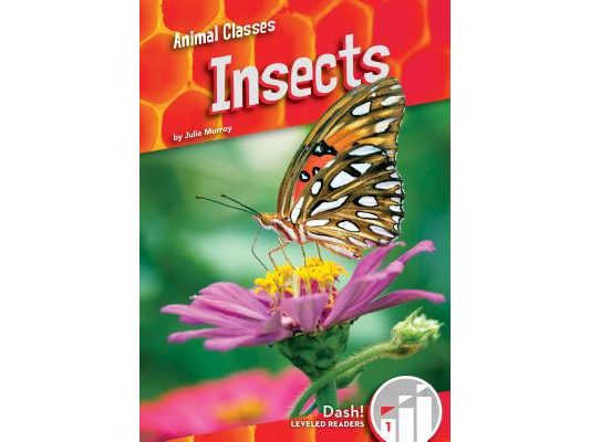 Insects