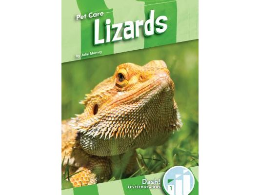 Lizards