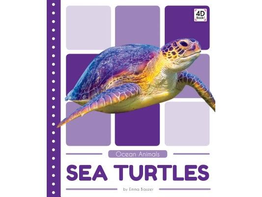 Sea Turtles