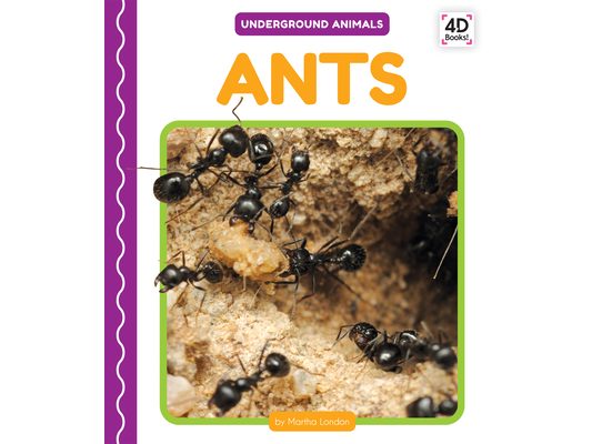 Ants