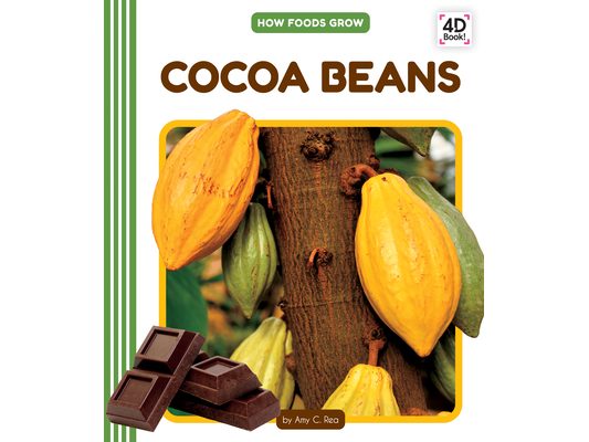 Cocoa Beans