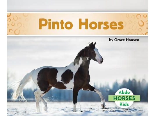 Pinto Horses