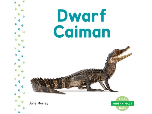 Dwarf Caiman