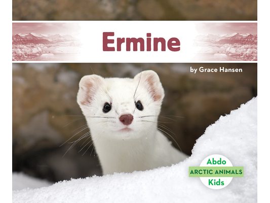 Ermine