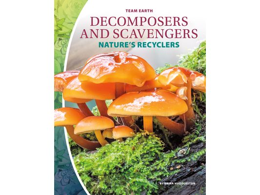 Decomposers and Scavengers: Nature's Recyclers: Nature's Recyclers