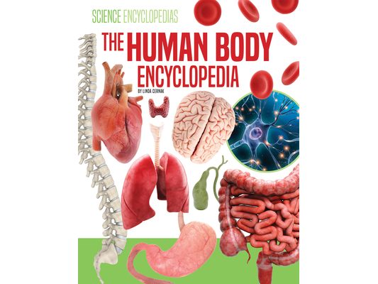 Human Body Encyclopedia