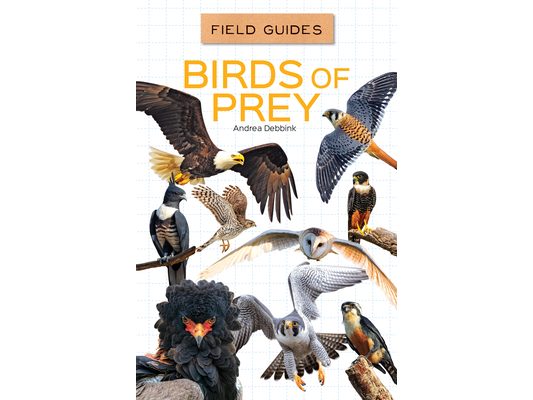Birds of Prey