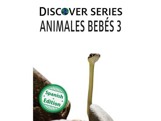 Animales Bebes 3