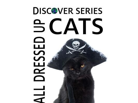 Cats All Dressed Up