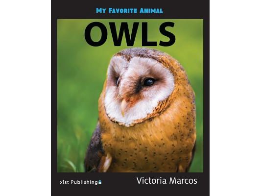My Favorite Animal: Owls