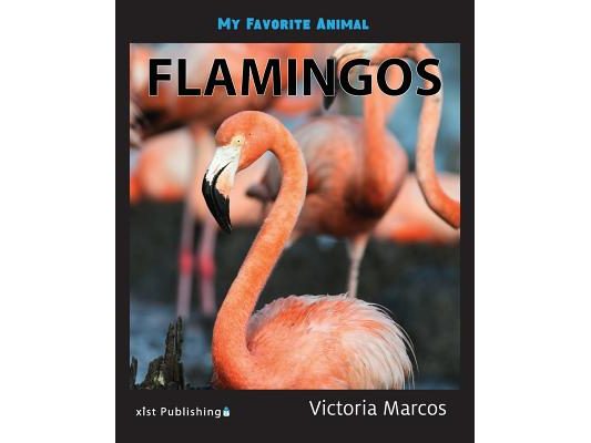 My Favorite Animal: Flamingos