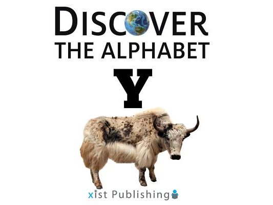 Y