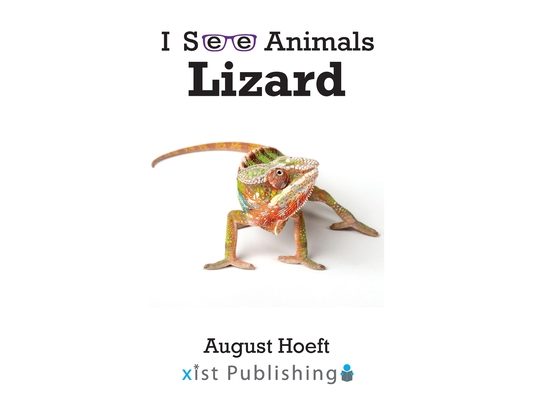 Lizard