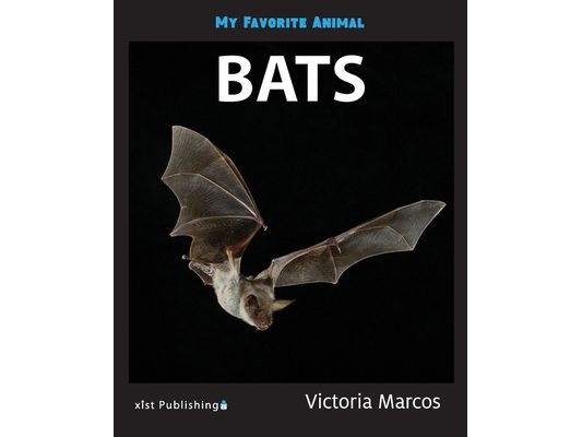 My Favorite Animal: Bats