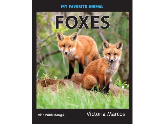 My Favorite Animal: Foxes