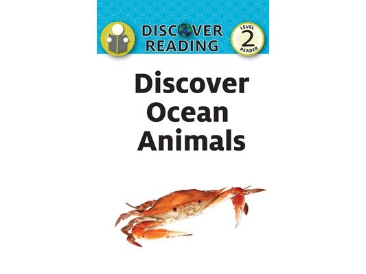 Discover Ocean Animals
