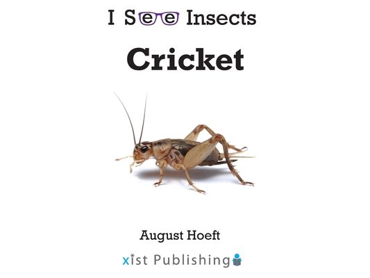 Cricket