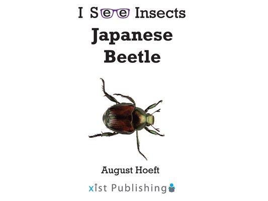 Japanese Beetle