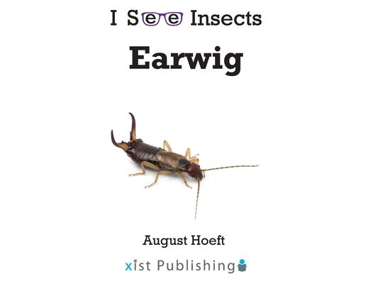 Earwig