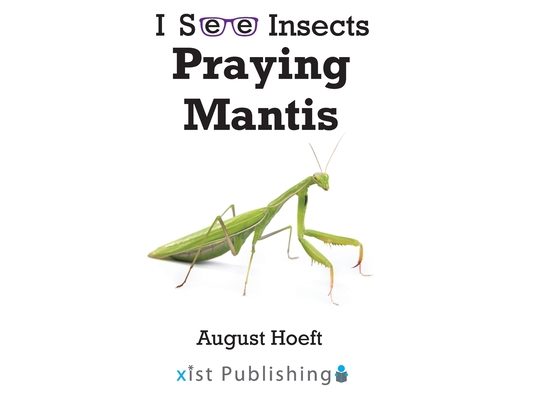 Praying Mantis