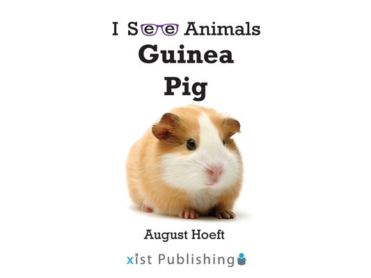 Guinea Pig