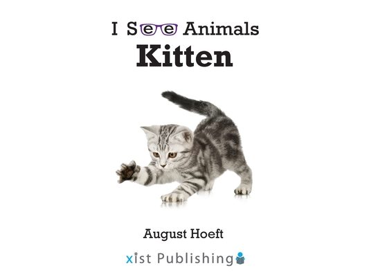 Kitten