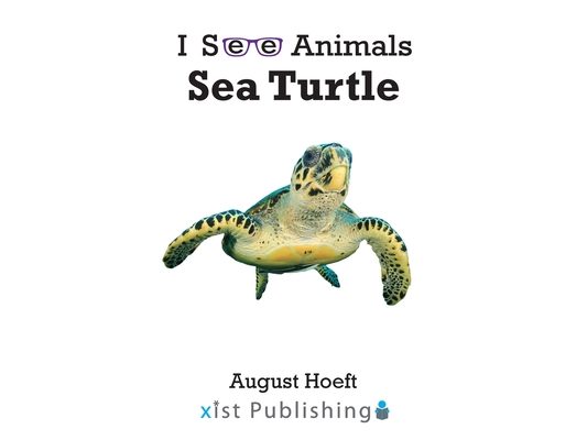 Sea Turtle