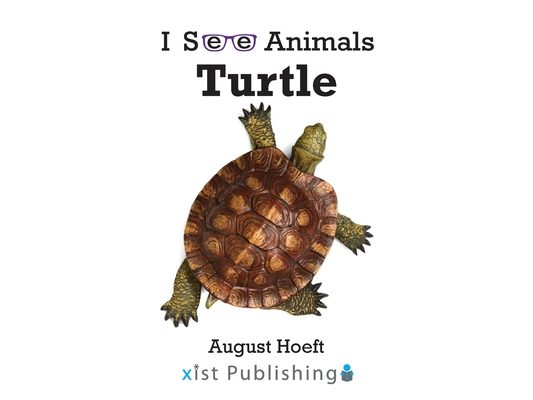 Turtle