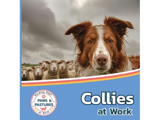 Collies at Work