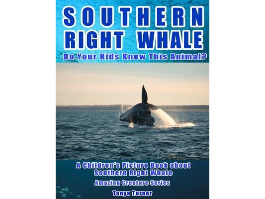 Southern Right Whale: Do Your Kids Know This Animal?: A Children's Picture Book about Southern Right Whale