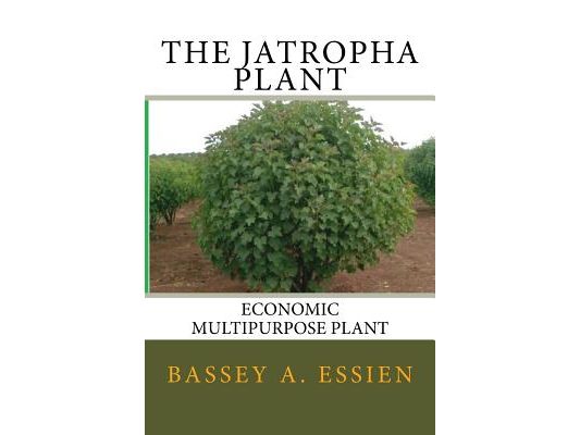 The Jatropha Plant