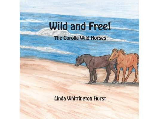 Wild and Free: The Corolla Wild Horses