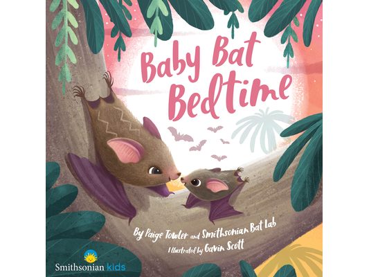 Baby Bat Bedtime