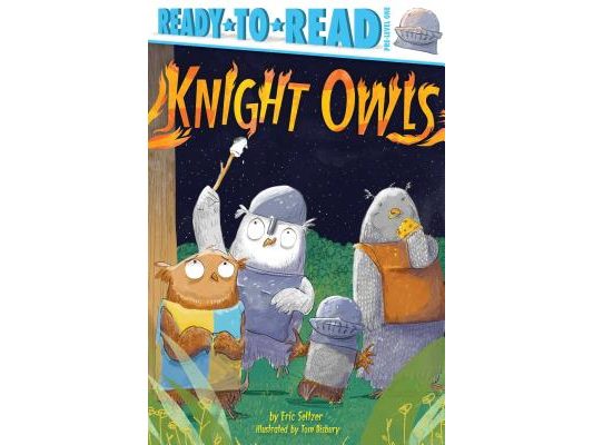 Knight Owls: Ready-To-Read Pre-Level 1