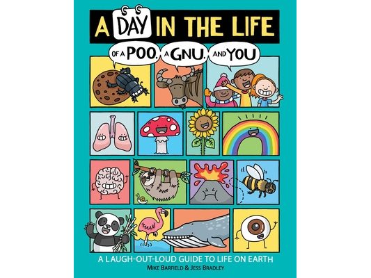 A Day in the Life of a Poo, a Gnu, and You