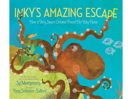 Inky's Amazing Escape: How a Very Smart Octopus Found His Way Home