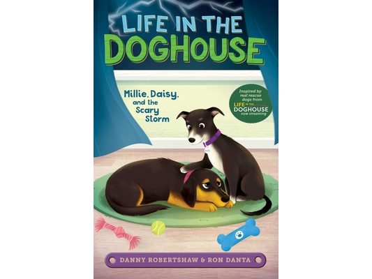 Millie, Daisy, and the Scary Storm