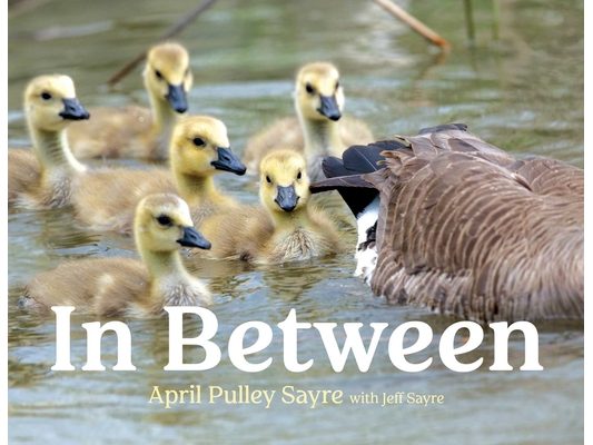 In Between