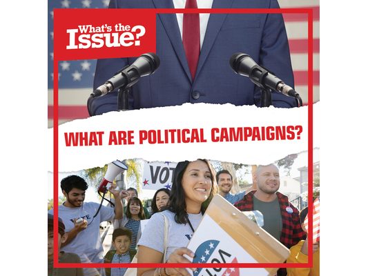 What Are Political Campaigns?