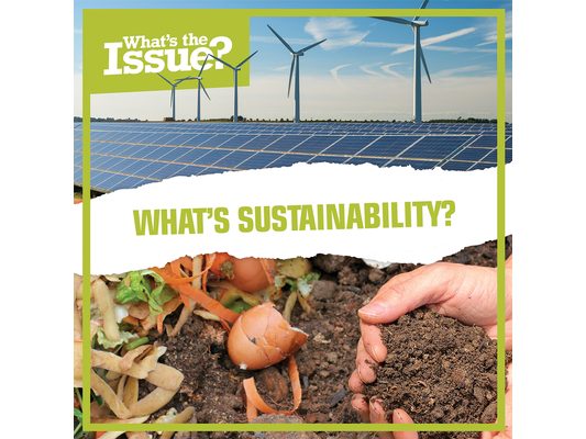 What's Sustainability?