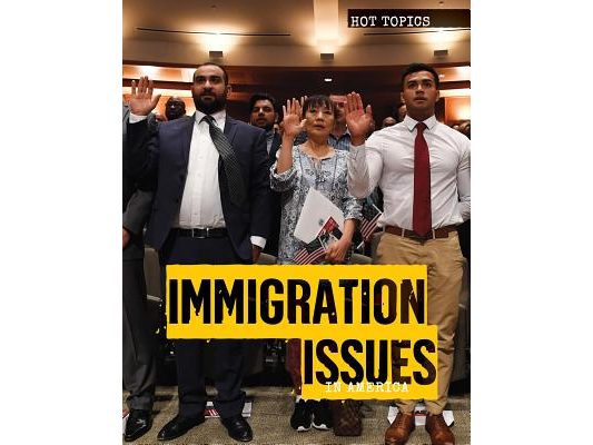 Immigration Issues in America