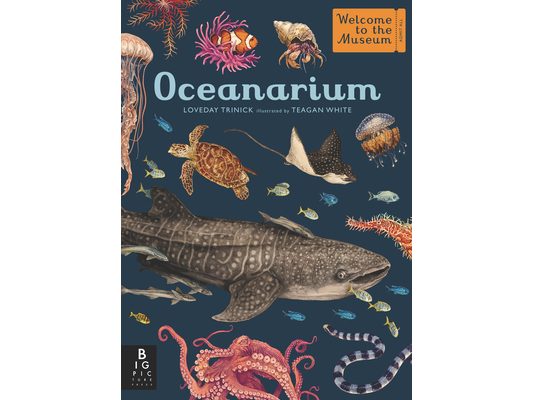 Oceanarium: Welcome to the Museum