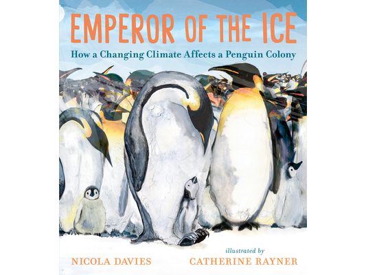 Emperor of the Ice: How a Changing Climate Affects a Penguin Colony