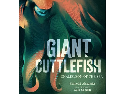 Giant Cuttlefish: Chameleon of the Sea