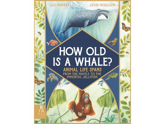 How Old Is a Whale?: Animal Life Spans from the Mayfly to the Immortal Jellyfish